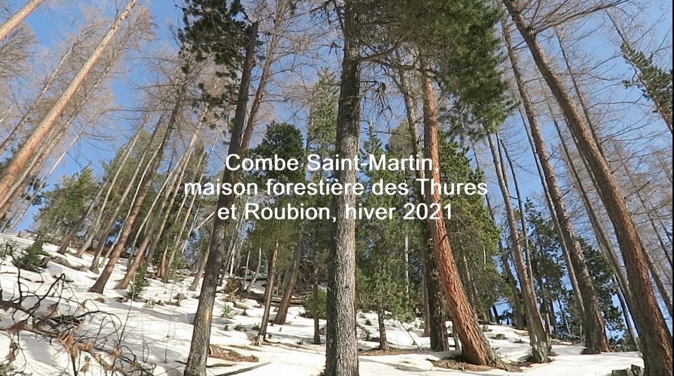 Vidéo Hiver 2021 Forêt des Thures et Roubion ( C. Rau)