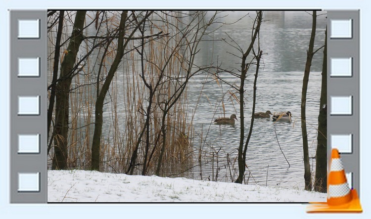 Jour de Neige à Fiancey - 17 janvier 2021 - C. Rau  (Cliquer sur l'image pour visionner le diaporama)