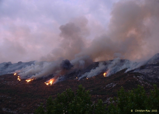 Incendie du Néron, août 2003