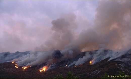 Incendie du Néron, août 2003