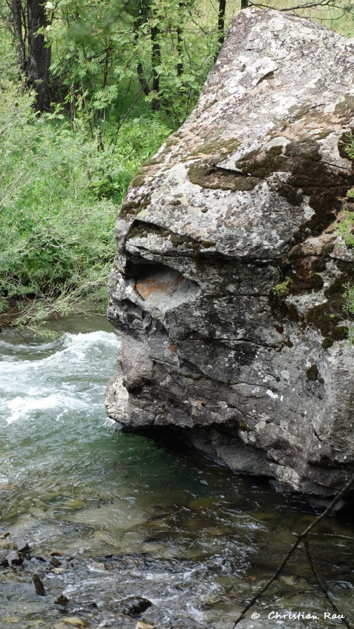 Paréidolie : Imaginez ce que vous voulez ! Photo C. Rau