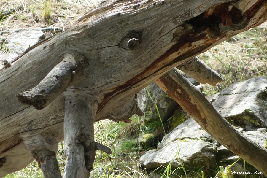 Paréidolie : Imaginez ce que vous voulez ! Photo C. Rau