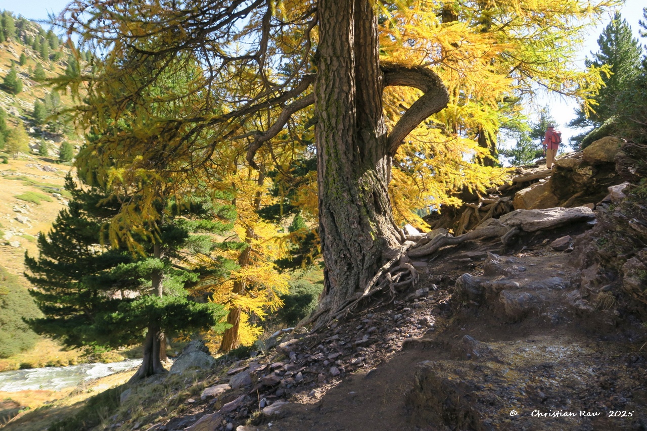 Paréidolie : Imaginez ce que vous voulez ! Photo C. Rau