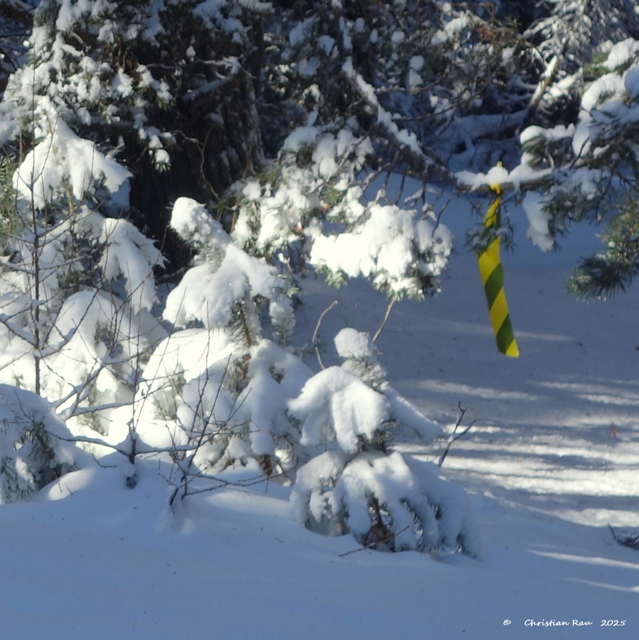 Paréidolie : Imaginez ce que vous voulez ! Photo C. Rau