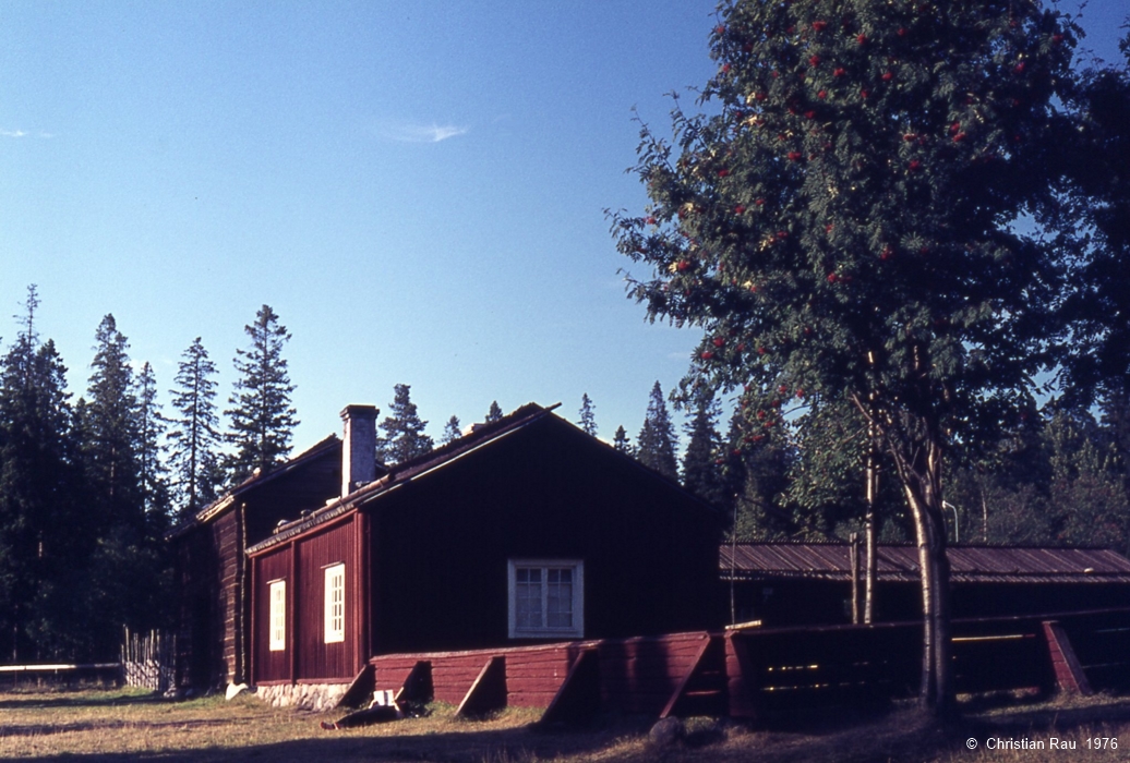 Umea  (Golfe de Botnie) - Musée en plein air de l'habitat traditionnel suédois