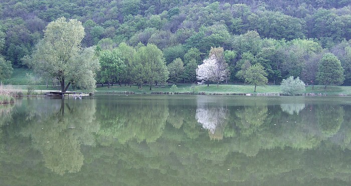 Lac de Fiancey, printemps 2007... (photo C. Rau)