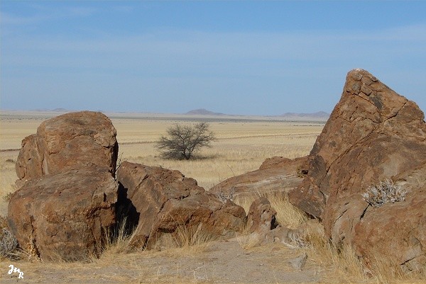 Mirabib, dans le désert du Namib
