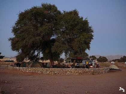 Campement de Sesriem sous un arbre refuge.