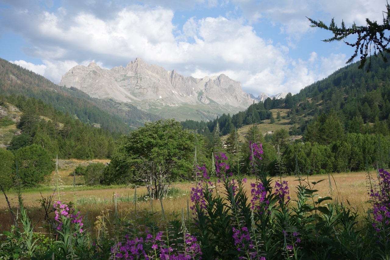 Alpages de Lacou et du Verney - Haute-Vallée - C. Rau 07/2015