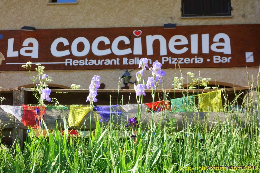 Les iris de la Coccinella (Roubion) C. Rau 06/2018