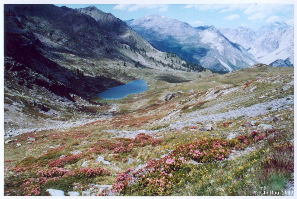 Lac de Cristol, juillet 2000 (diapositive) - C. Rau