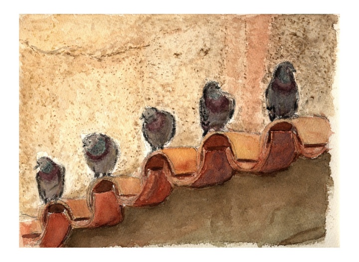 Les oiseaux d'Eguilles (près d'Aix en Provence) - Christiane Rau
