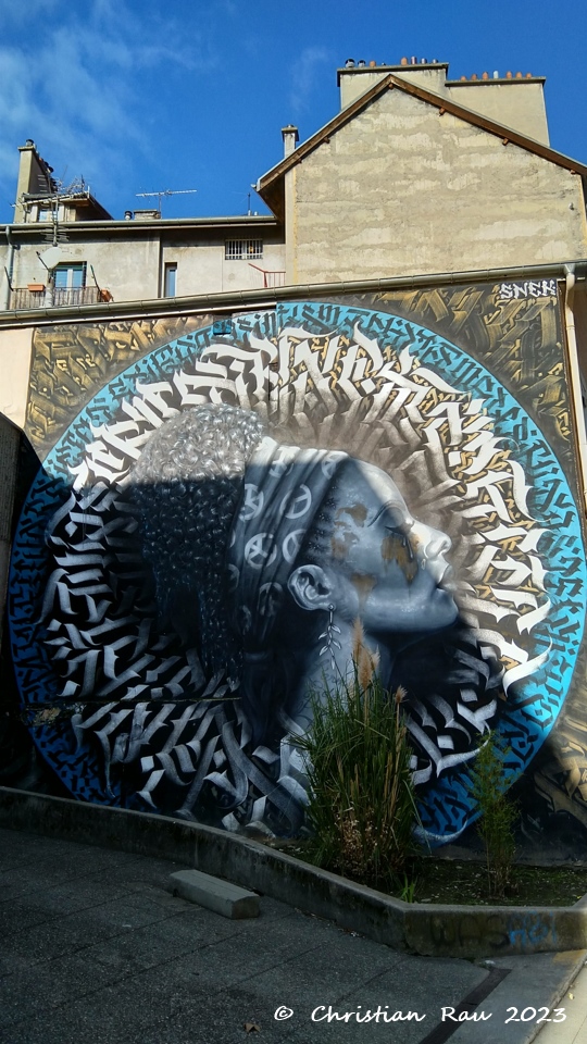 Street art à Grenoble - janvier 2023 - CR