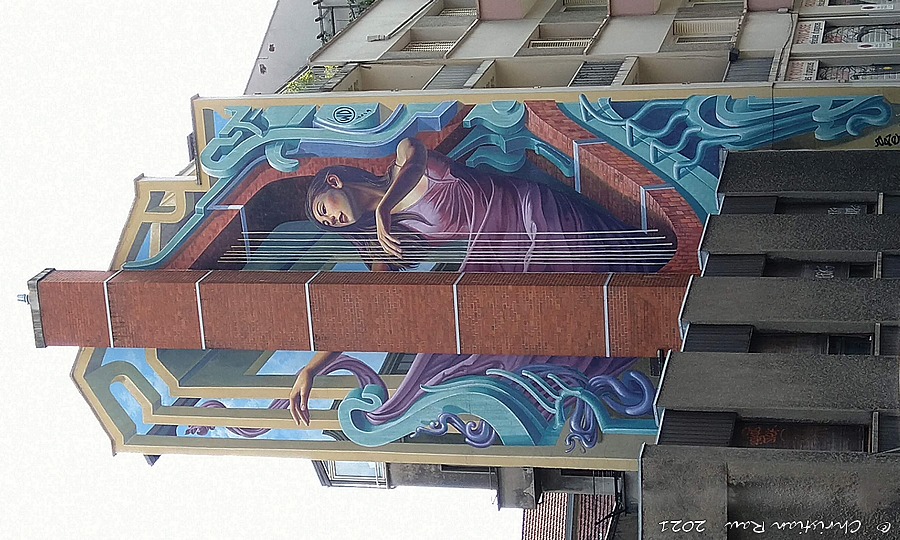 Street Art à Grenoble (juin 2021) ©  C. Rau