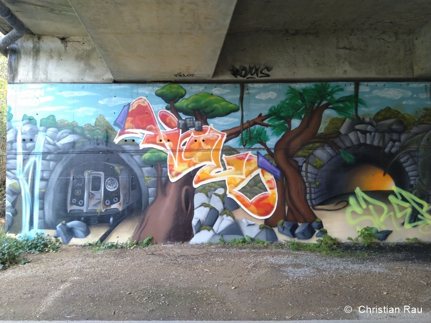 Street art  à Reims  - Copyright  C. Rau  2019