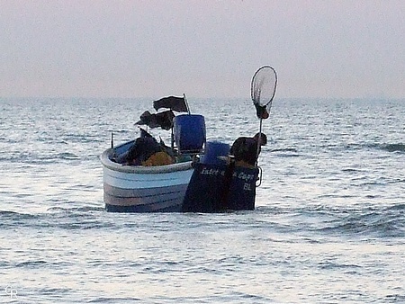 Les pêcheurs des flobarts profitent de chaque marée...