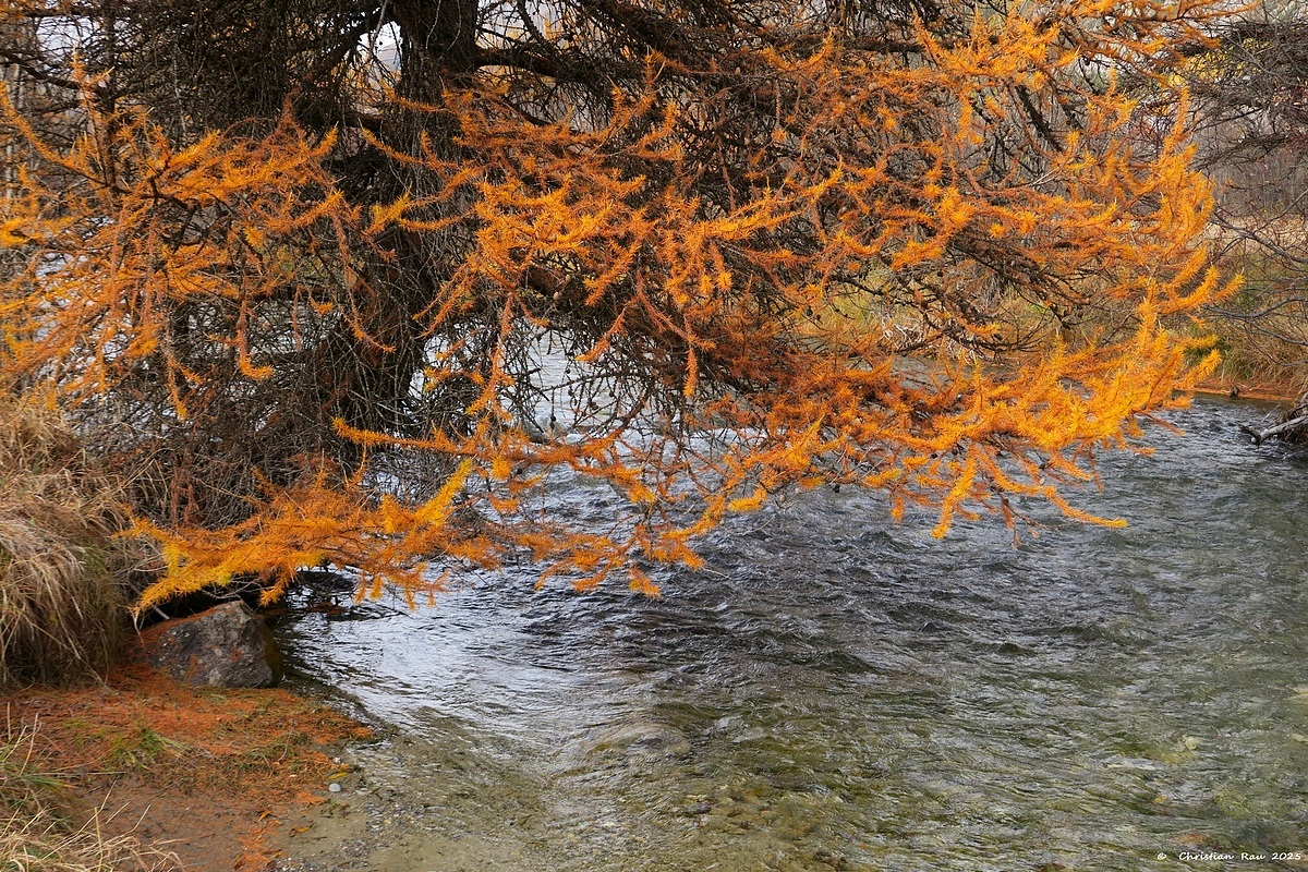 Névache, 27 octobre 2025, la Clarée aux Iscles © Christian Rau 2025