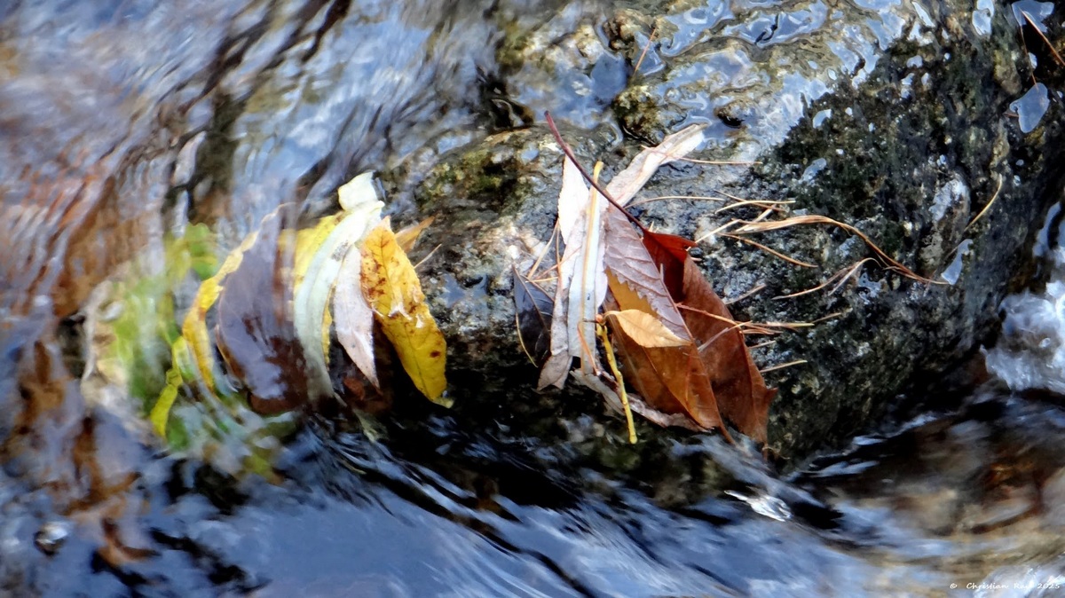 Composition mouvante sur la Clarée, 1er novembre 2025 © Christian Rau 2025