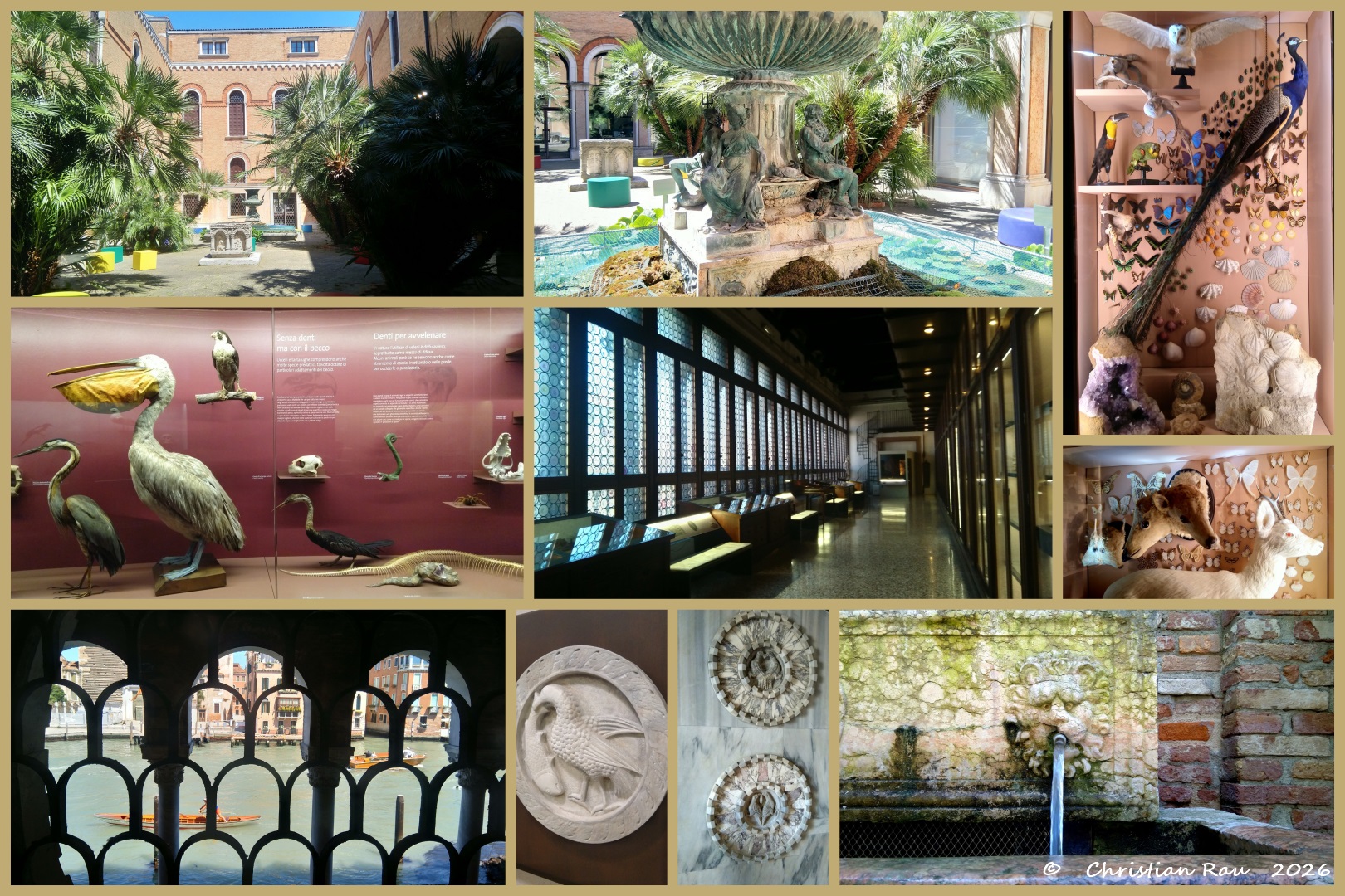Le Museum d'Histoire Naturelle de Venise (Fondaco dei Turchi)