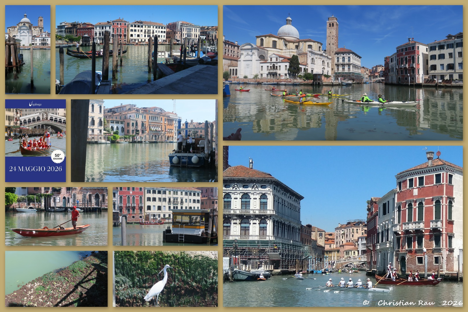 Notre lieu d'observation de la Vogalonga 2026 (Riva di Biasio)