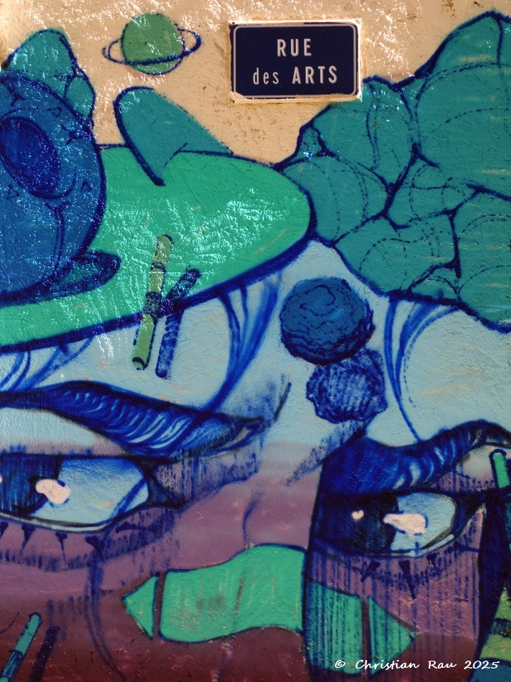 Street-Art Cours Berriat - Rue des Arts - CR 2024