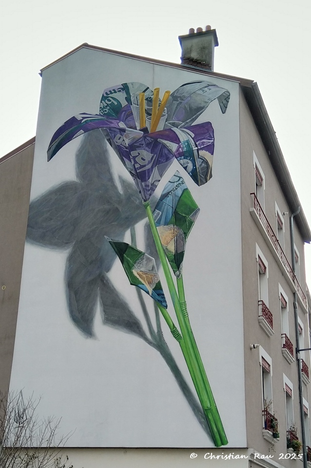 Street-Art Quartier Saint-Bruno - CR 2025